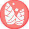 qV
